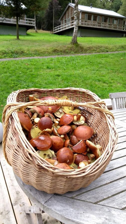 Chalet Le Forestier Bullange/Büllingen Esterno foto